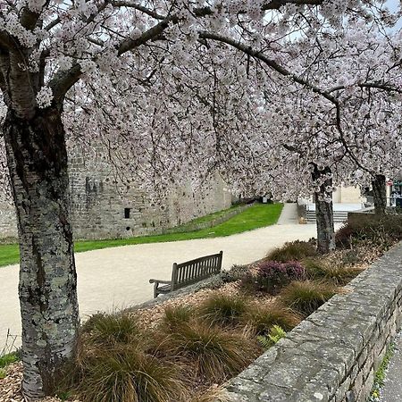 La Casa De Sophie T3 Avec Jardinet, Parking Prive - Port De Vannes Kültér fotó